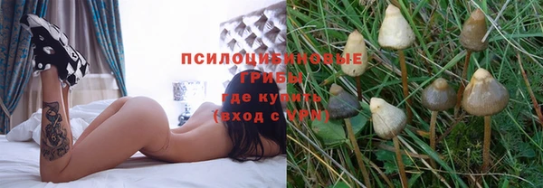 Альфа ПВП Алексин