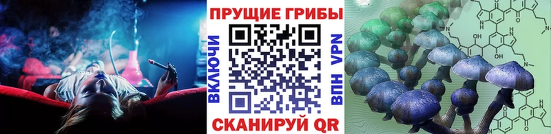 закладка  сайты даркнета наркотические препараты  Галлюциногенные грибы Cubensis  Джанкой 